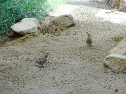 Tiergarten Schönbrunn am 23.03.2023